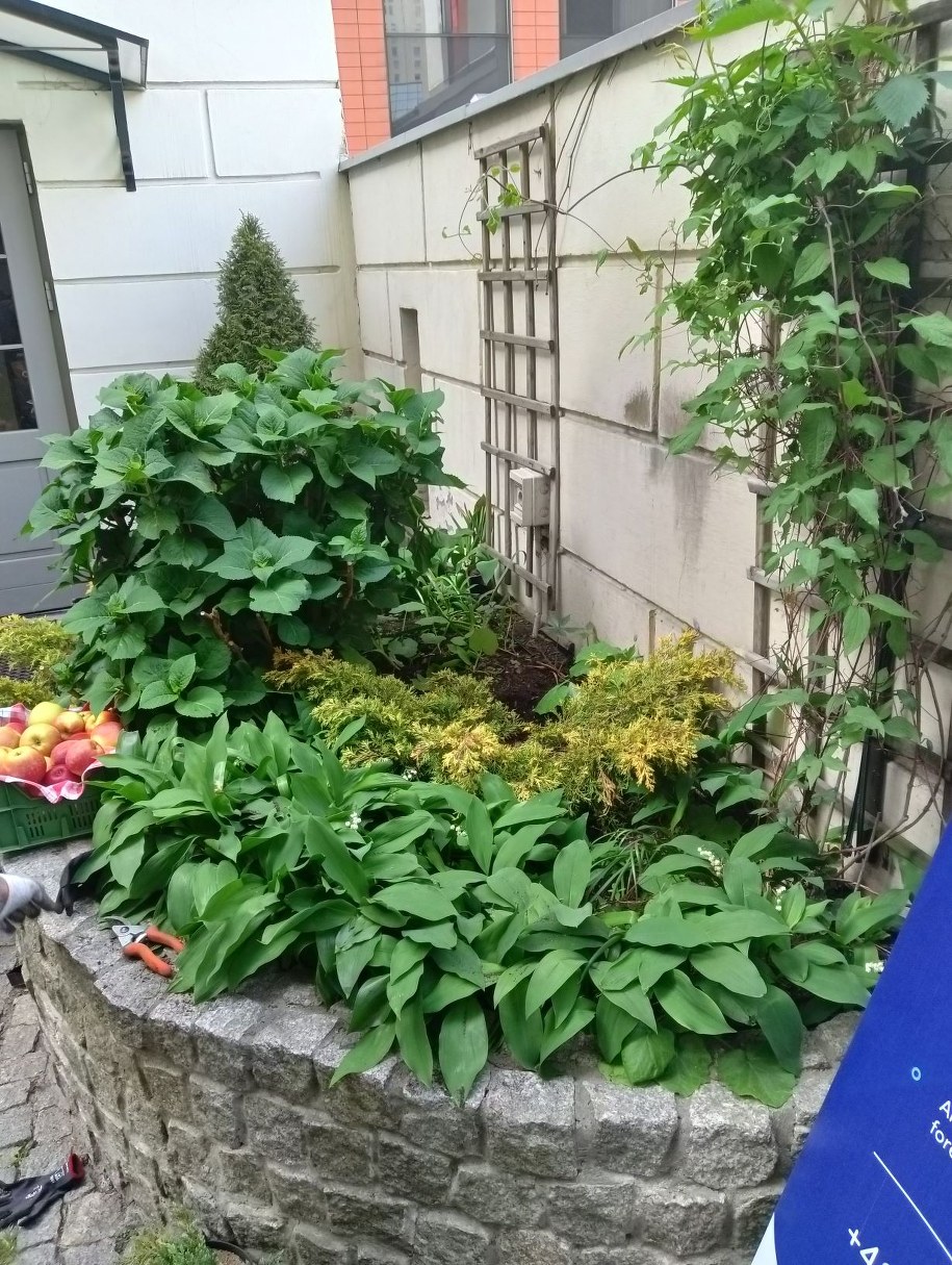 Ogrody społeczne mogą mieć różne formy /lodz.pl /Materiały prasowe