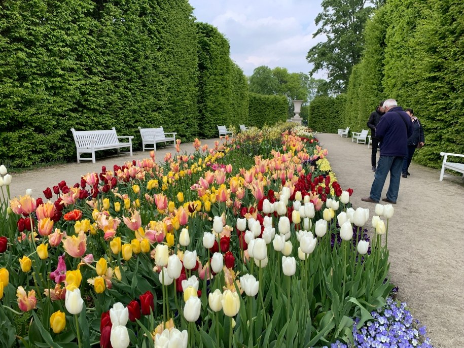 Ogrody Zamku Królewskiego w Warszawie /Magdalena Grajnert /RMF FM