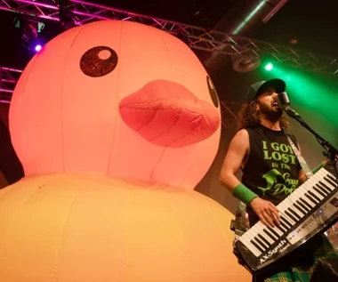 "Ogrom dobrej zabawy" z metalowymi piratami. Alestorm wraca do Polski na trzy koncerty