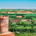 Ogromna plantacja konopi na terenie obiektu z listy UNESCO