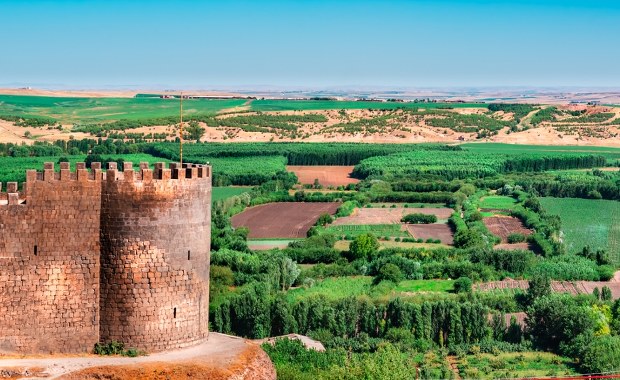 Ogromna plantacja konopi na terenie obiektu z listy UNESCO