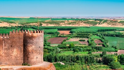 Ogromna plantacja konopi na terenie obiektu z listy UNESCO