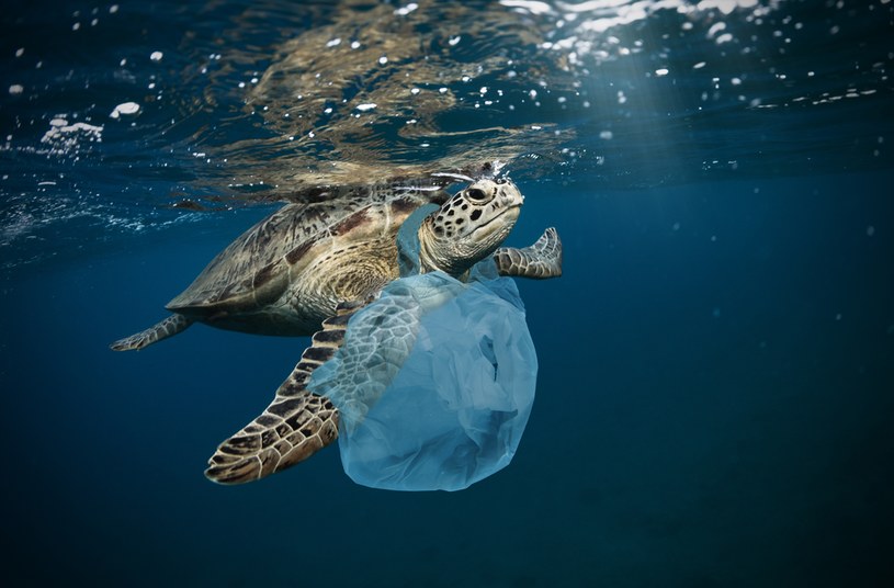 Ogromne ilości plastiku przedostają się do mórz, oceanów /AFP