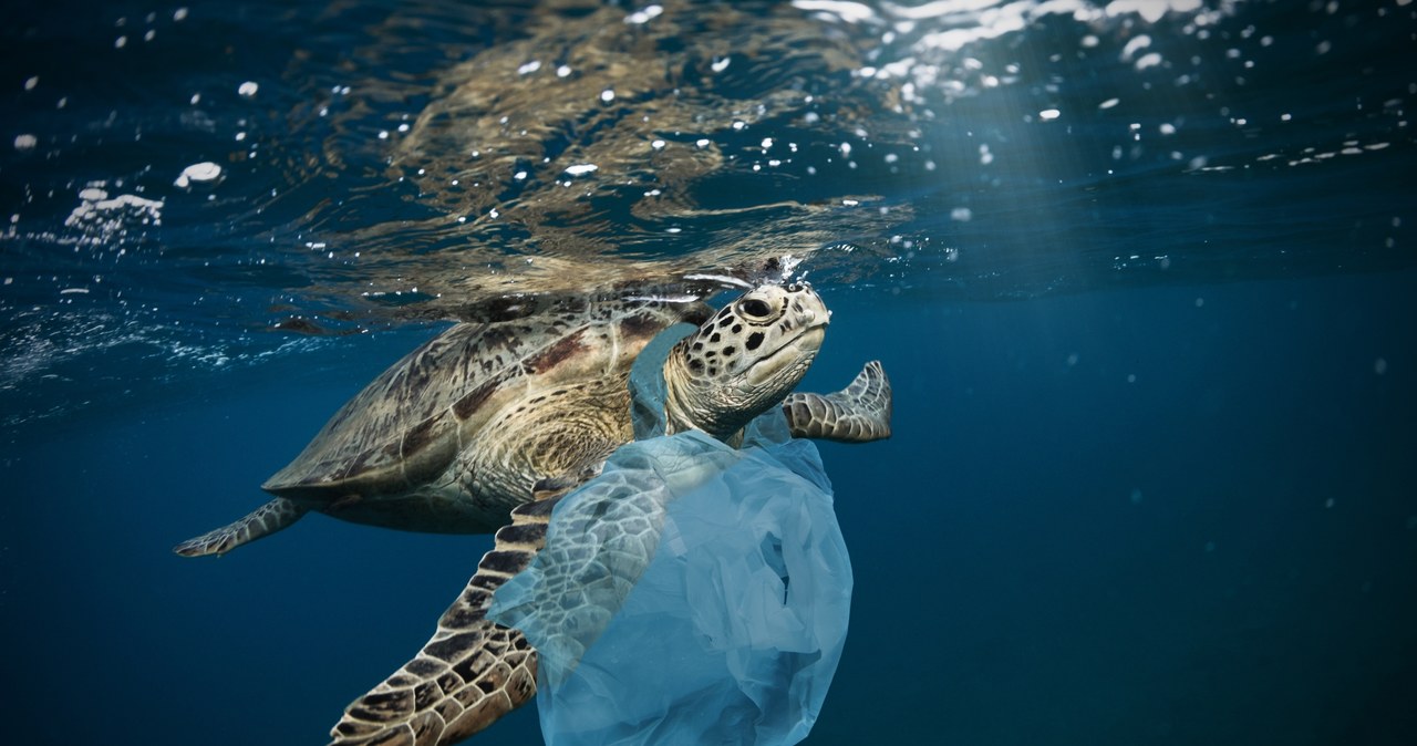 Ogromne ilości plastiku przedostają się do mórz, oceanów /AFP