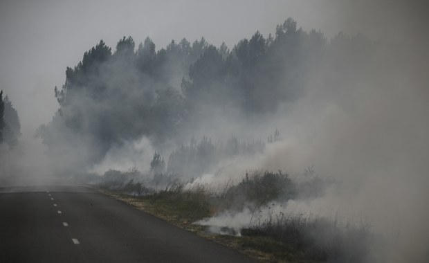 Ogromne pożary lasów we Francji. Jedna osoba zatrzymana