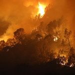 Ogromne straty po pożarach w Kalifornii. "Nie ma słów na opisanie tego"