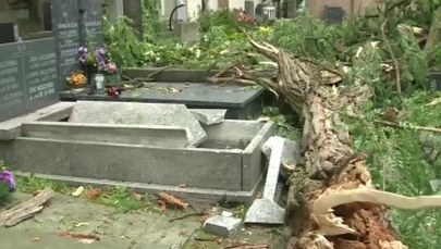 Ogromne zniszczenia na Powązkach po wczorajszych nawałnicach