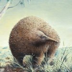 Ogromne zwierzę z Australii pokrywały kolce. Nie pomogły, musiało zginąć