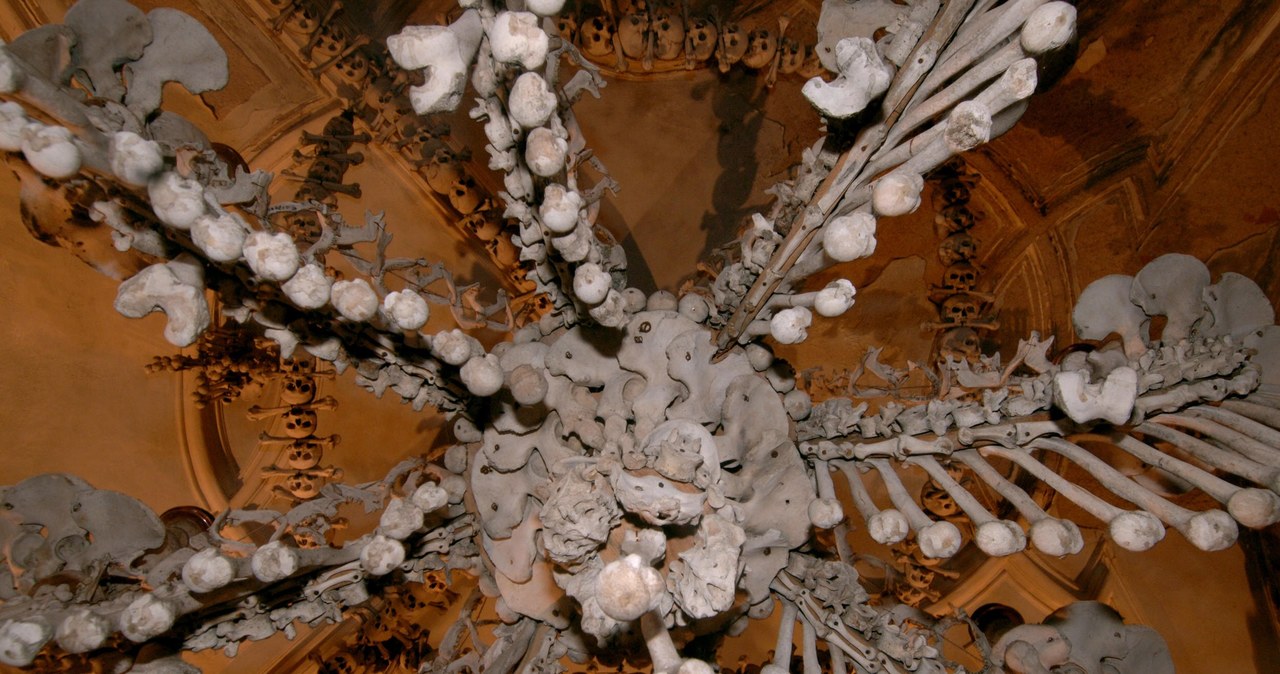Ogromny kostny żyrandol - jedno z wielu makabrycznych dzieł w kaplicy /AFP
