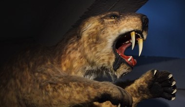 Ogromny kot o zębach jak sztylety budził postrach. A jednak było z nim źle