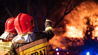 ​Ogromny pożar pod Poznaniem. Ogień rozprzestrzeniał się błyskawicznie