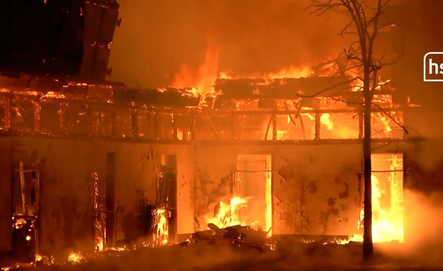 Ogromny pożar stajni. Zginęło 5 koni, kilka milionów euro strat