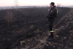 Ogromny pożar traw w Kokotowie