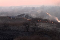 Ogromny pożar traw w Kokotowie