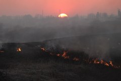Ogromny pożar traw w Kokotowie