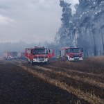 Ogromny pożar w Łódzkiem. 12 hektarów w ogniu