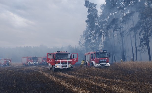 Ogromny pożar w Łódzkiem. 12 hektarów w ogniu