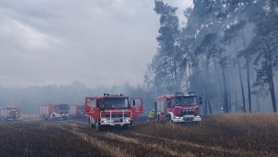 Ogromny pożar w Łódzkiem. 12 hektarów w ogniu