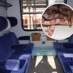 Ogromny wąż w pociągu. Pasażerowie uciekali w popłochu