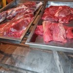 Ojciec i syn zatrzymani za kłusownictwo. Znaleziono u nich wydrę i łosia