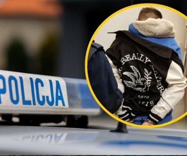 Ojciec uprowadził 4-letnią córkę podczas spaceru. Policjantów zaatakował siekierą