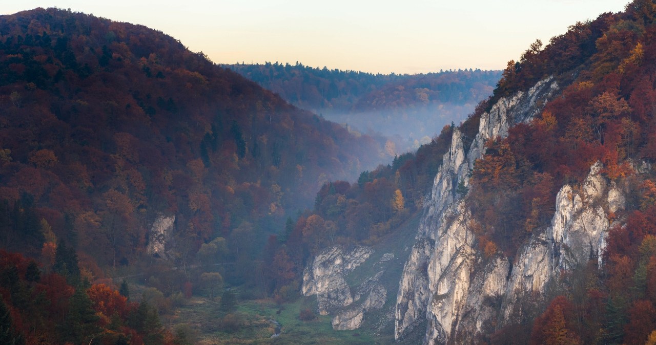 Ojcowski Park Narodowy słynie z wapiennych ostańców, które skąpane w jesiennych barwach stają się szczególnie urokliwe /East News