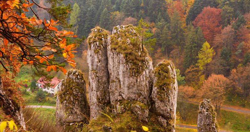 Ojcowski Park Narodowy szczególnie piękny jest jesienią. /Picsel /123RF/PICSEL