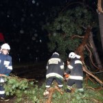 Ok. 80 interwencji straży po nawałnicach