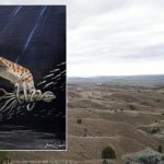 Okaz leżał w muzeum przez dekady. Teraz naukowcy go zbadali i są w szoku