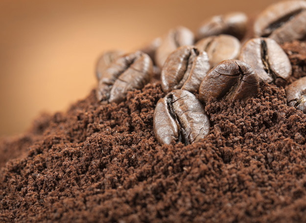 Okazuje się, że fusy z kawy są doskonałym nawozem dla roślin. /123RF/PICSEL