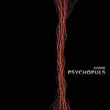 Okładka albumu "Psychopuls" /