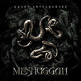 Okładka "Catch 33" Meshuggah /
