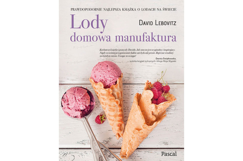 Okładka książki "Lody. Domowa manufaktura" Davida Lebovitza /materiały prasowe