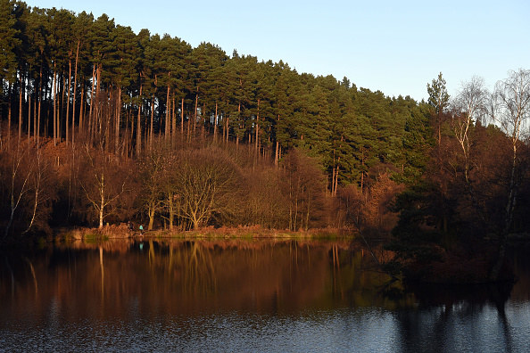 Okolice Channock Chase /Getty Images