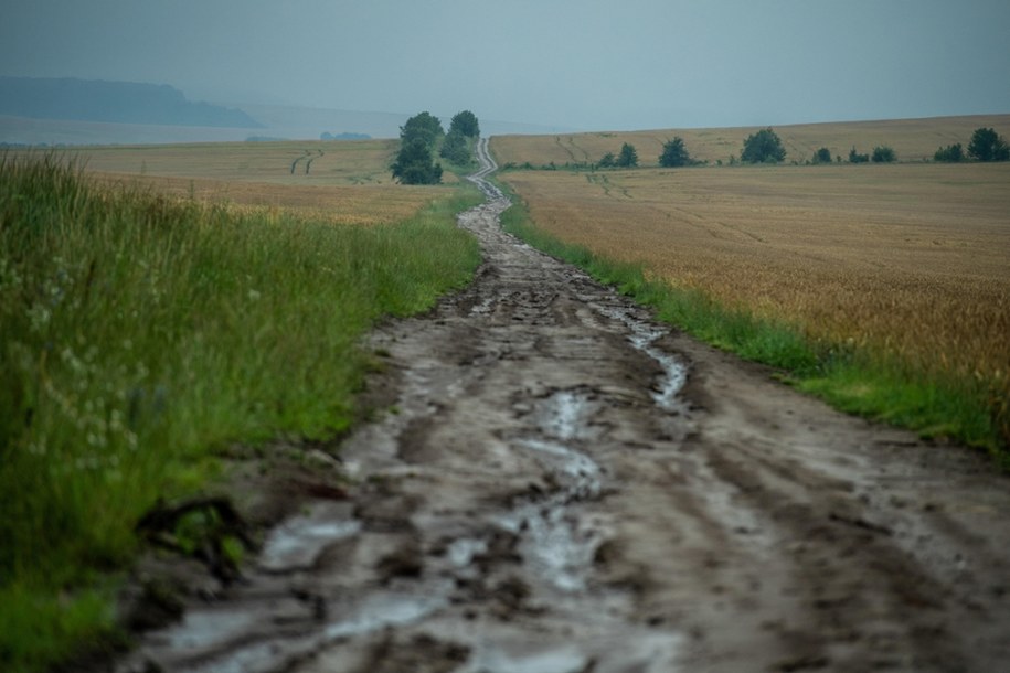 Okolice nieistniejących obecnie wsi Ostrówki i Puźniki, Ukraina, lipiec 2023 roku /Wojtek Jargiło /PAP