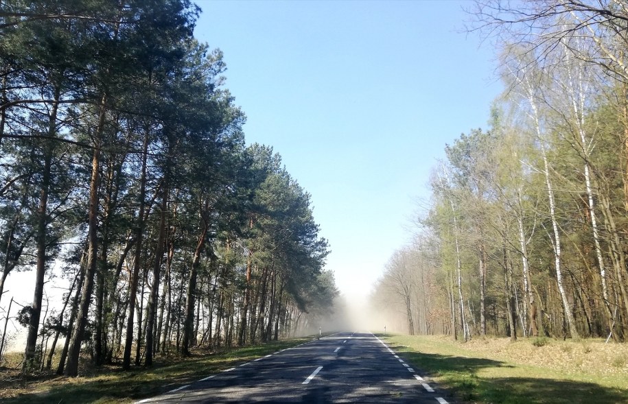 Okolice Parczewa w województwie lubelskim /Gorąca Linia RMF FM