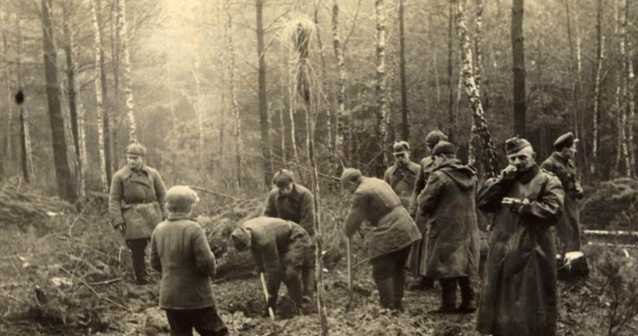 Okolice Włodawy, wytyczanie granicy niemiecko-sowieckiej po zajęciu Polski w 1939 r. /z archiwum Tomasza Wiśniewskiego /Agencja FORUM