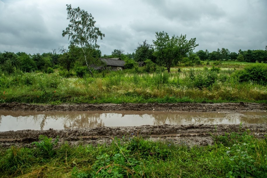 Okolice wsi Puźniki, Ukraina, lipiec 2023 roku /Wojtek Jargiło /PAP