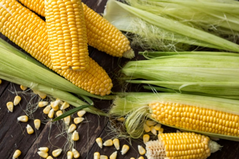Około 70 proc. składu kukurydzy stanowi skrobia, która jest głównym węglowodanem w diecie człowieka /123RF/PICSEL