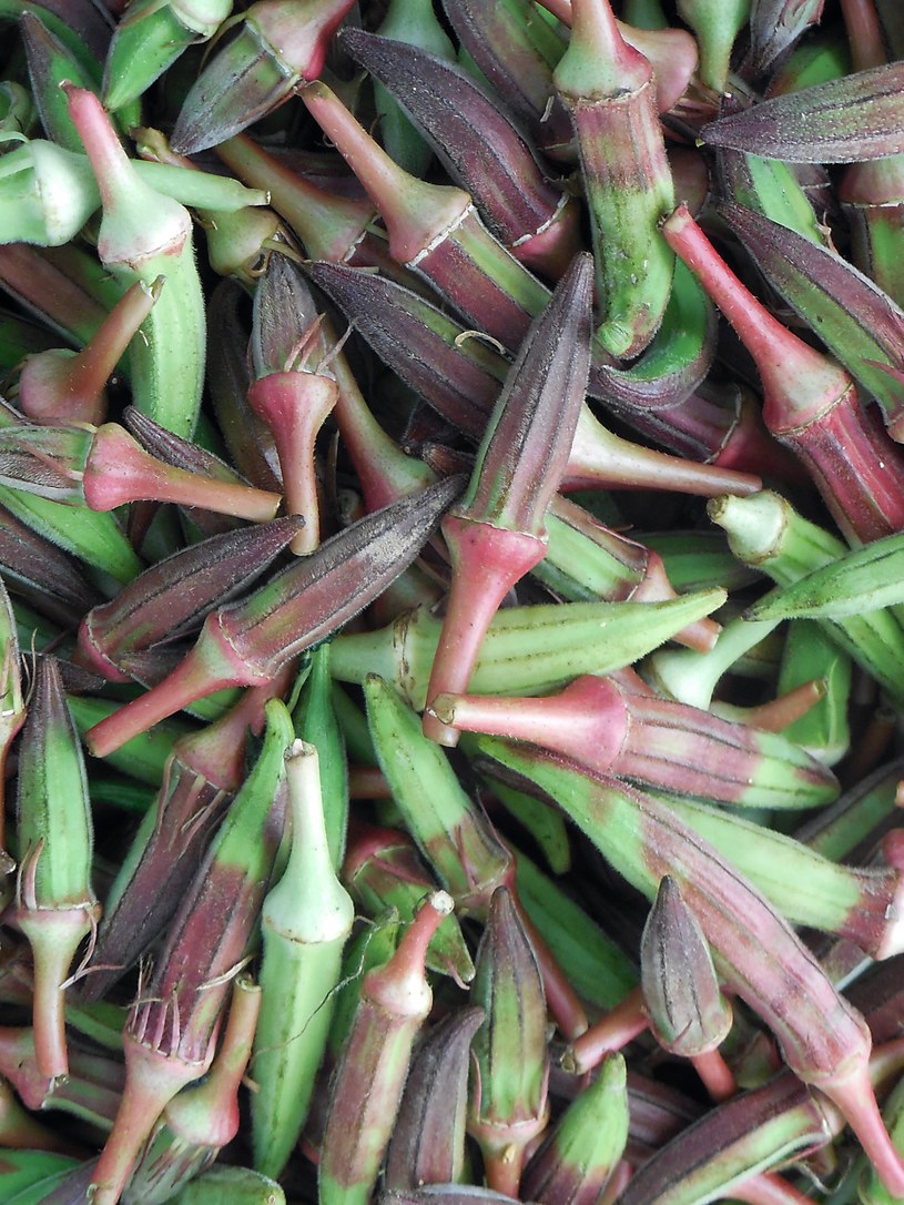 Okra /Getty Images