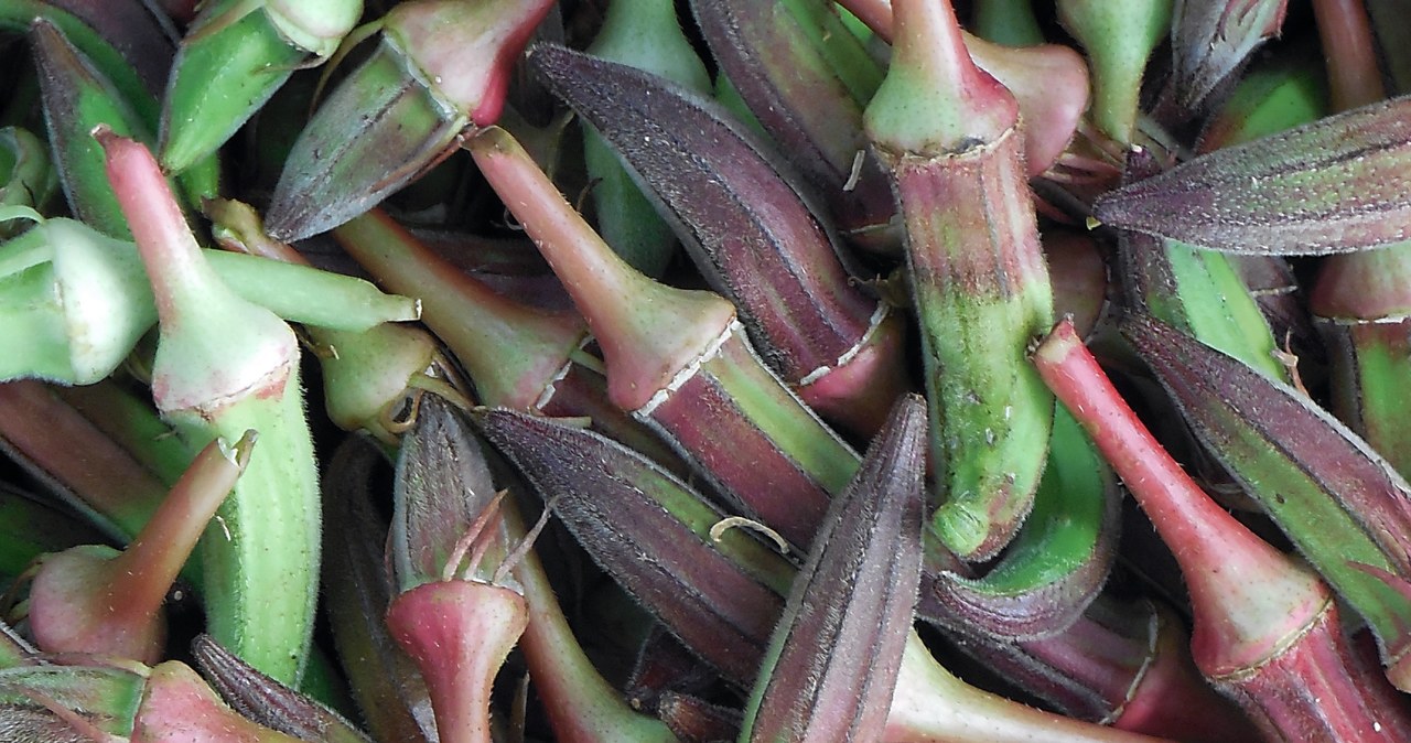 Okra /Getty Images