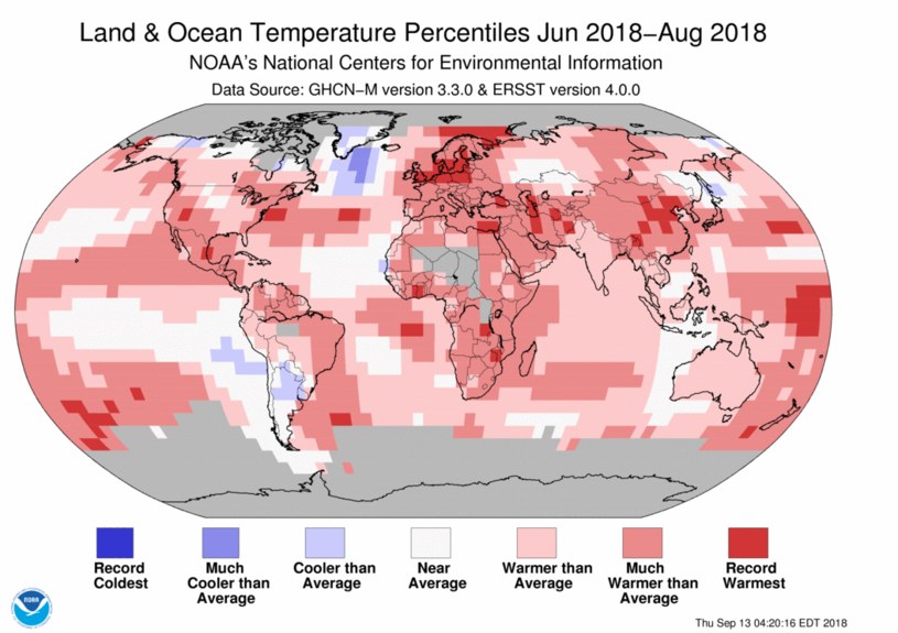 Okres od czerwca do sierpnia tego roku był piątym najcieplejszym (globalnie) okresem w historii /materiały prasowe