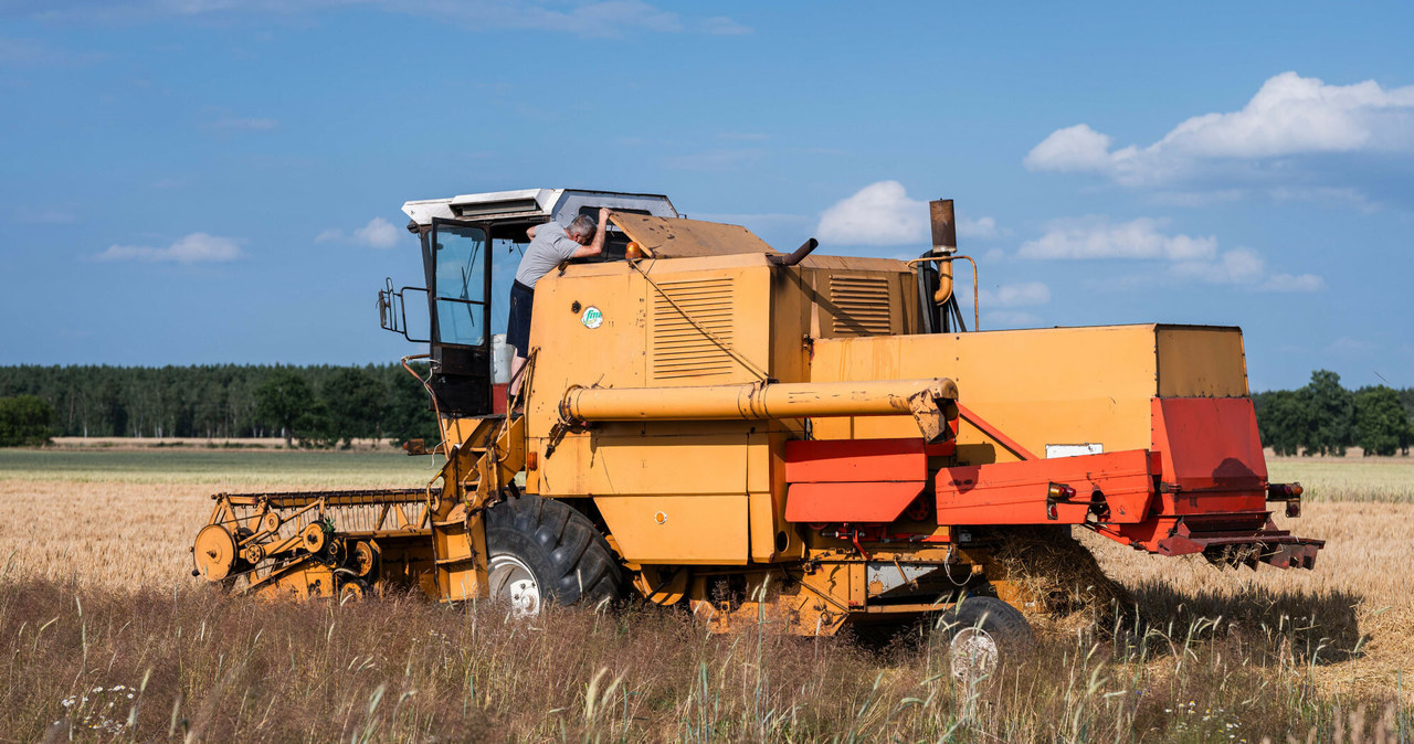 Okres żniw to czas gdy na drogi wyjeżdża mnóstwo maszyn rolniczych. /Piotr Dziurman /East News
