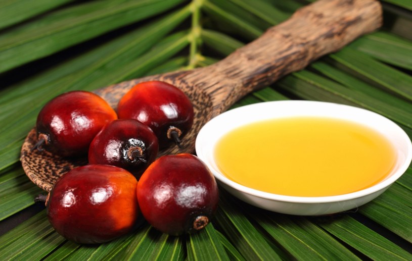 Olej palmowy jest dodawany do artykułów spożywczych i kosmetyków /123RF/PICSEL