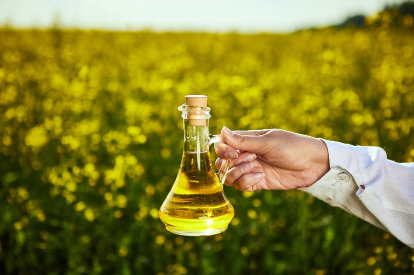 Olej rzepakowy zawiera 10 razy więcej kwasu omega-3 niż oliwa /123RF/PICSEL
