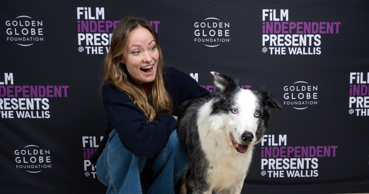 Olivia Wilde z psem Messim /Amanda Edwards/Contributor /Getty Images