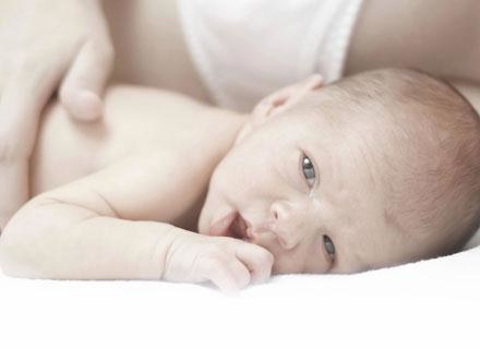 Oliwka dla niemowląt jest bardzo popularna, ponieważ jest stosowana od pokoleń /ThetaXstock