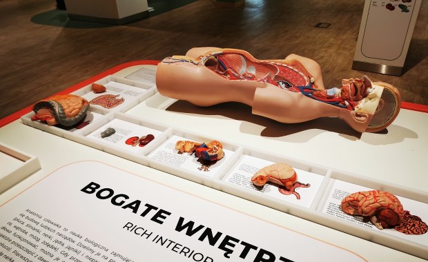 Olsztyn ma centrum popularyzacji nauki. Zobacz wnętrze Kortosfery!