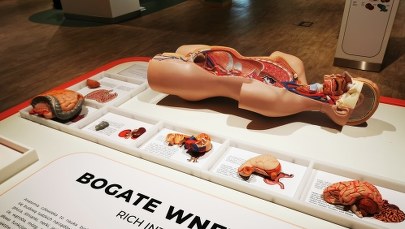 Olsztyn ma centrum popularyzacji nauki. Zobacz wnętrze Kortosfery!