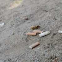 Placu zabaw w parku Kusocińskiego w Olsztynie, a w nim papierosy i ptasie pióra